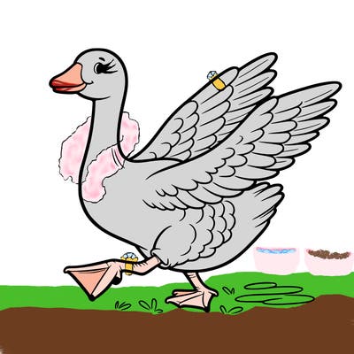 goose
