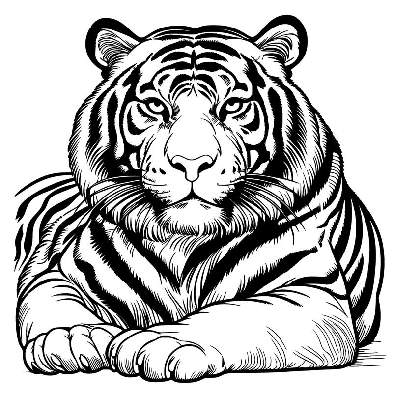 tiger realistic
