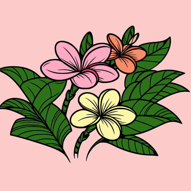 hawaiian plumerias
