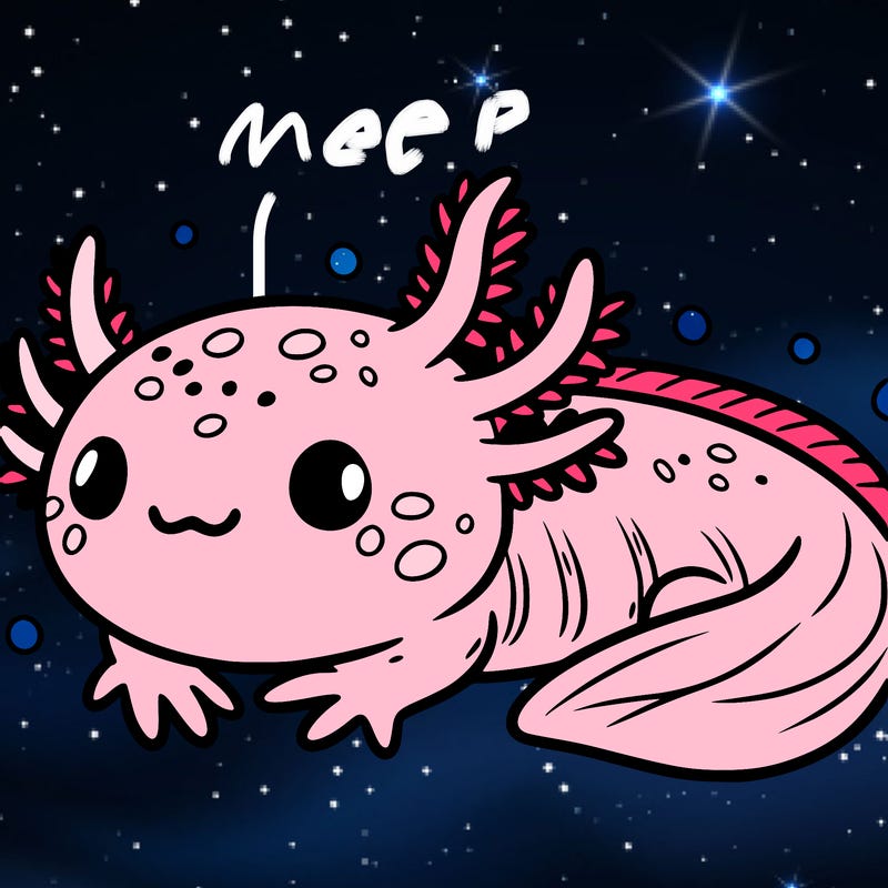 cute axolotl