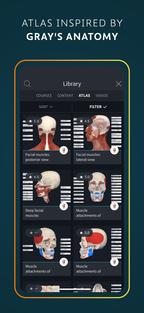 A library screen of the Complete Anatomy app showcasing various 3D anatomical models of the head and neck inspired by Gray's Anatomy.