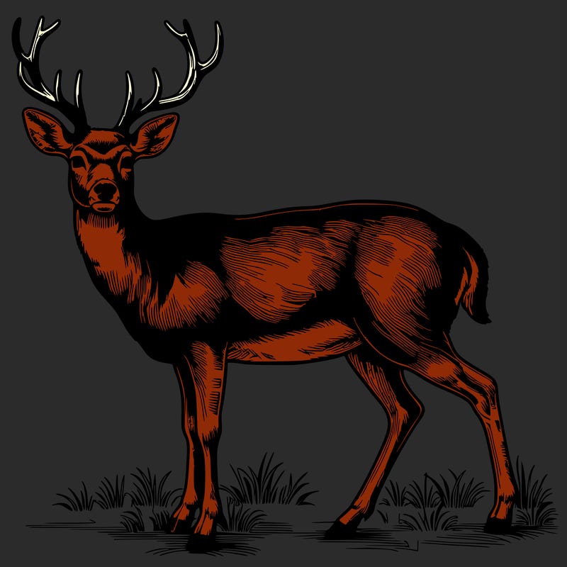 realistic deer