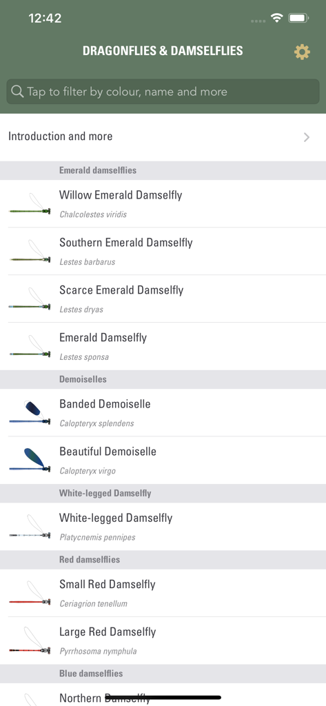 Dragonflies & Damselflies - Una pantalla de aplicación móvil que muestra una lista categorizada de especies de caballitos del diablo con nombres científicos e ilustraciones para identificación.