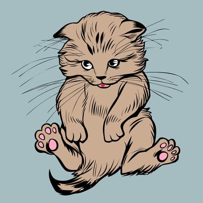 animals_20