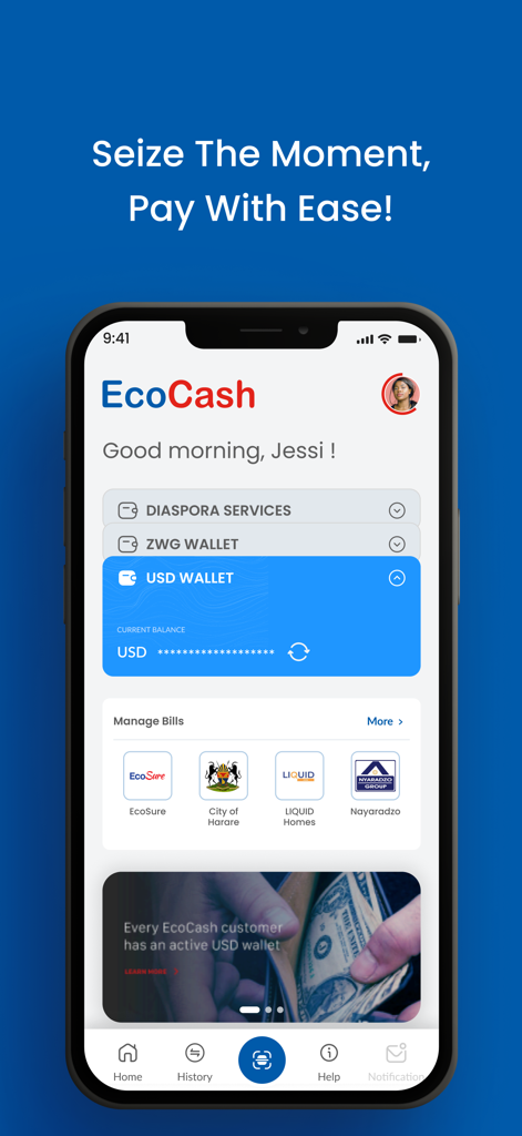 EcoCash Zimbabwe - EcoCash Zimbabwe app dashboard showing USD wallet balance and bill payment options for services like City of Harare and EcoSure.