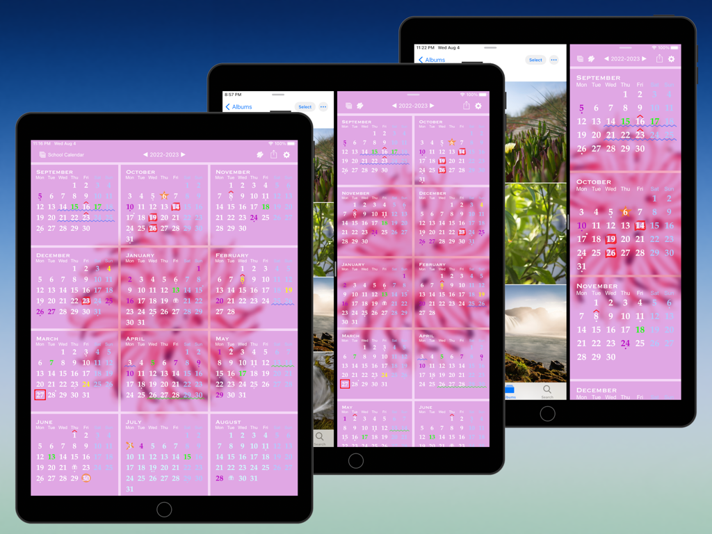 All-in-One Year Calendar Pro - All-in-One Year Calendar Pro app on iPad showing yearly planning with color-coded markups and split view multitasking