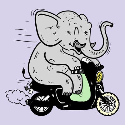 animals_21