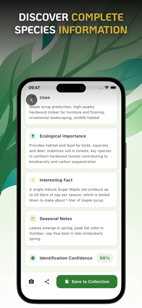 Tree Identifier : Leaf Finder - Treely app interface showing detailed botanical information for a identified tree species including uses and ecological importance