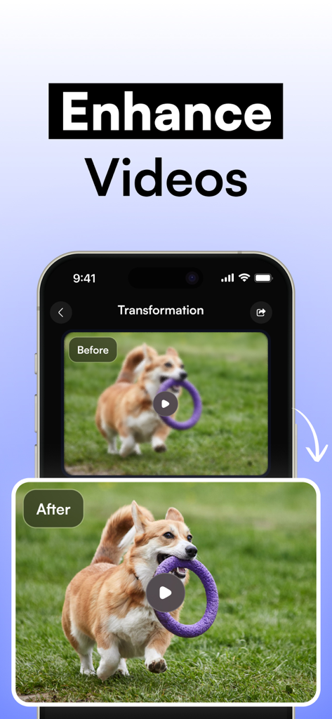 AI Upscale Video・4K Upscaler - Comparaison avant/après d'une vidéo améliorée par IA mettant en scène un chien jouant avec un anneau.