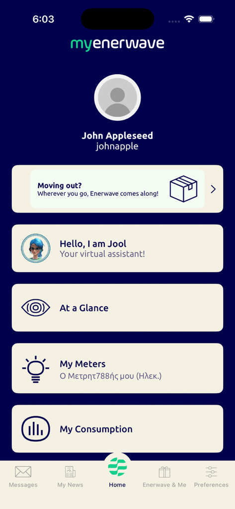 myEnerwave - myEnerwave mobile app home screen showing dashboard with consumption and meter reading options