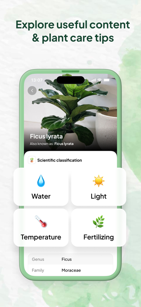 AI Plant Identifier - Leaf ID - Aplicación Identificador de Plantas IA mostrando los requisitos de cuidado y la clasificación científica de una planta Ficus lyrata.