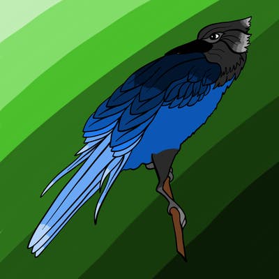 animals_63