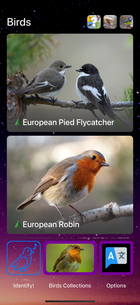 Bird Song/Photo Identification - Tela do aplicativo de identificação de pássaros mostrando espécies de pássaros europeus