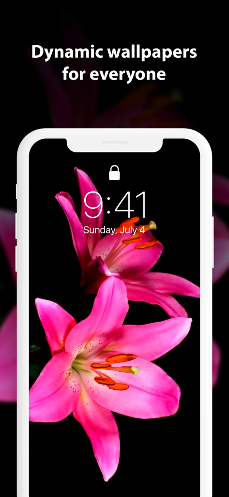 Pantalla de bloqueo de iPhone que muestra un vibrante fondo de pantalla dinámico de un lirio rosa con el encabezado Fondos de pantalla dinámicos para todos