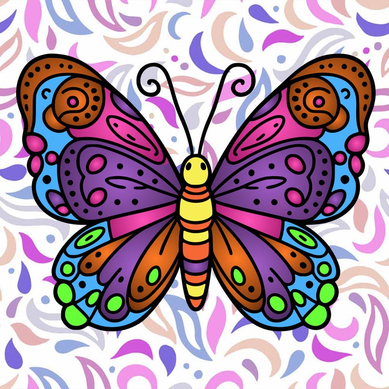 butterfly
