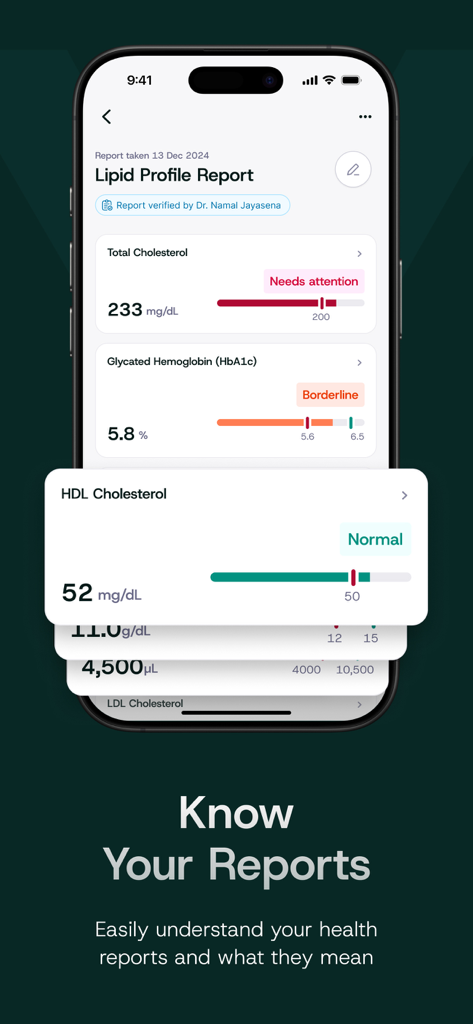Ayubo - Pantalla de la aplicación Ayubo que muestra un informe de perfil lipídico con indicadores de estado de salud impulsados por IA para los niveles de colesterol y hemoglobina.