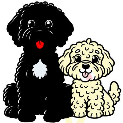 portuguese water dog with a goldendoodle dog