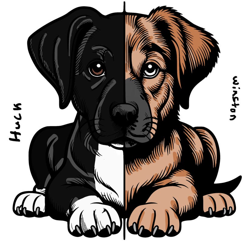 realistic dog split picture