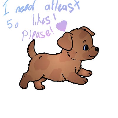 alittle cute babby dog