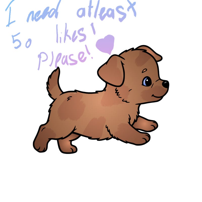 alittle cute babby dog