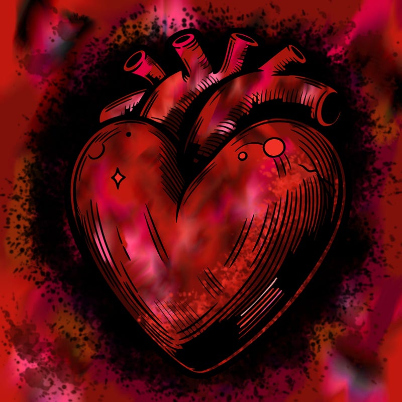 realistic heart