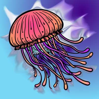 jelly fish