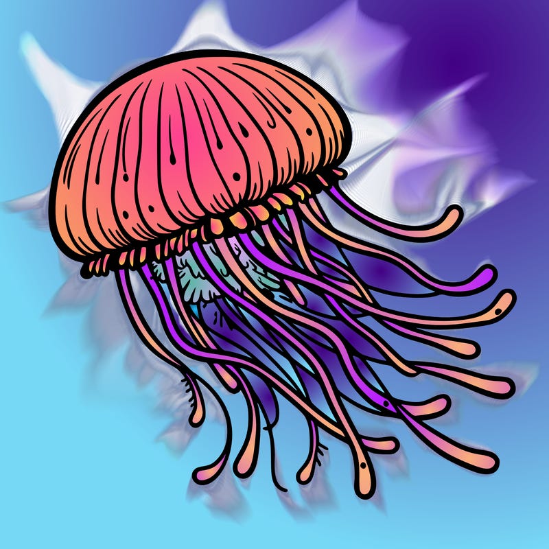 jelly fish