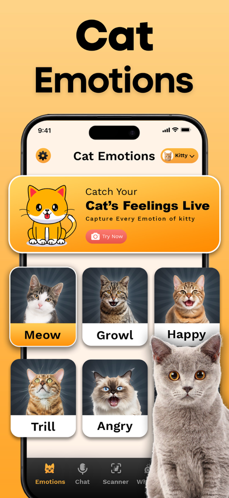 Cat Translator app interface showing various cat emotions and sounds for pet interaction