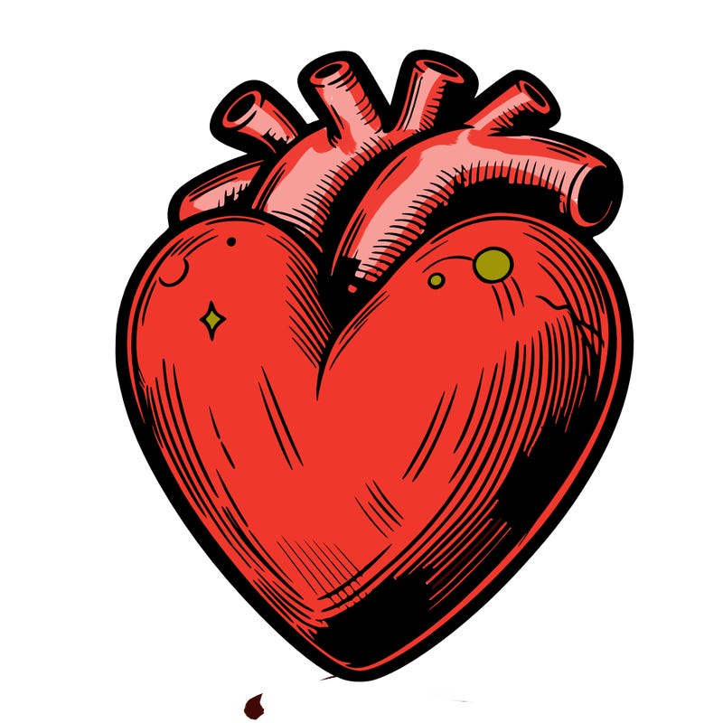 realistic heart