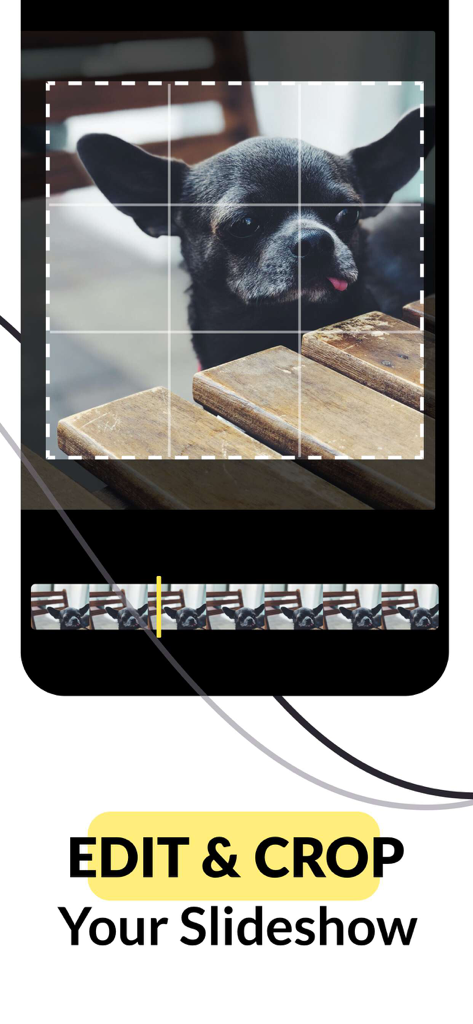 Interface of the SlideLab app showing the edit and crop feature being used on a photo of a dog