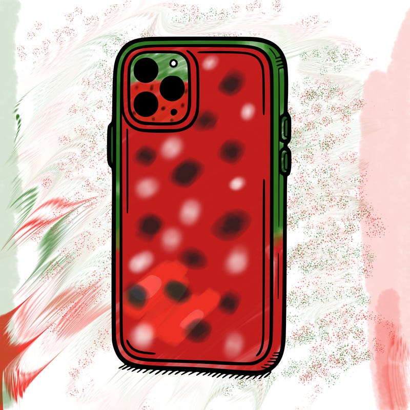 phone case