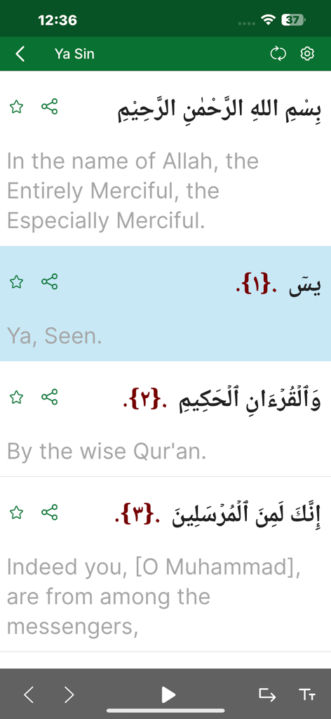 Full Quran Sharif Offline App - Full Quran Sharif Offline app interface displaying Surah Ya Sin with English translation