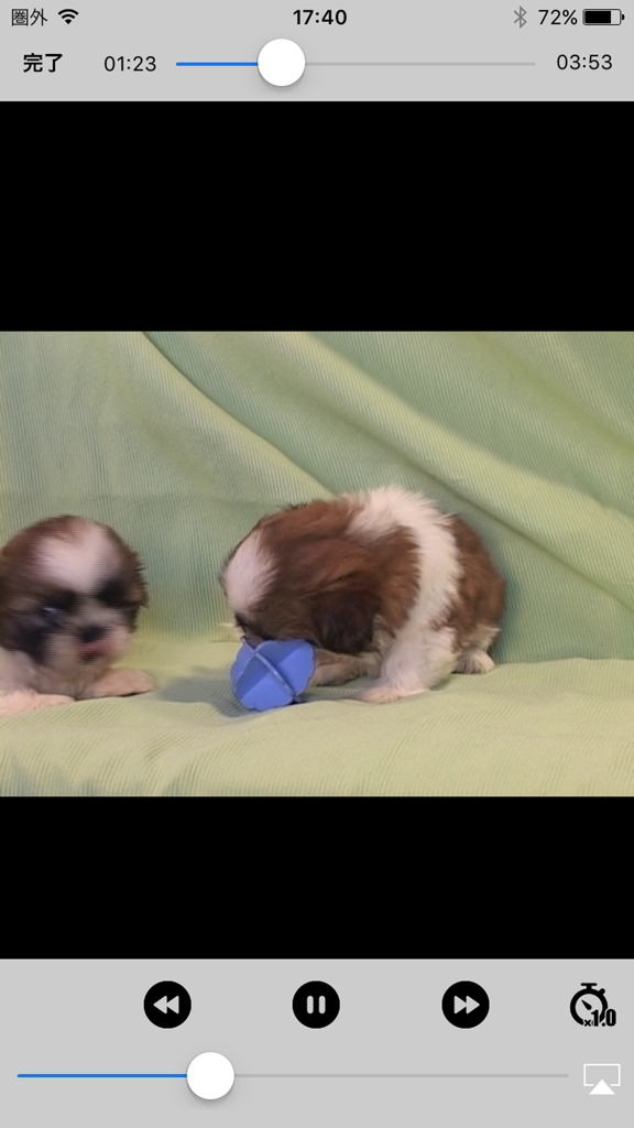 sumado - スマート動画プレイヤー - Interface of the sumado smart video player app displaying a video of two puppies playing with a toy