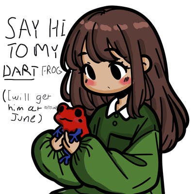 girl with long hair and a oversized shirt. and she is holding a frog