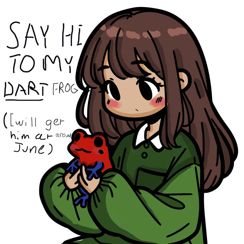 girl with long hair and a oversized shirt. and she is holding a frog