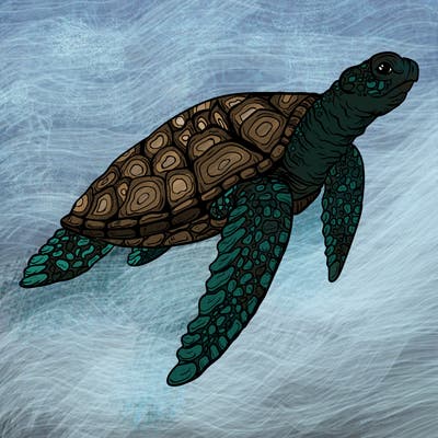 sea_life_03