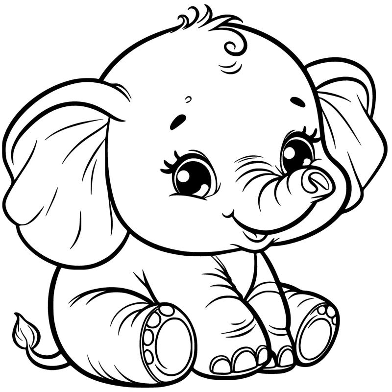baby elephant