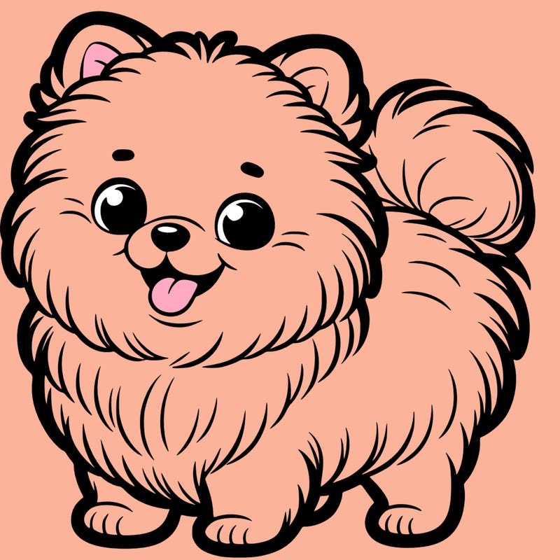 pomeranian