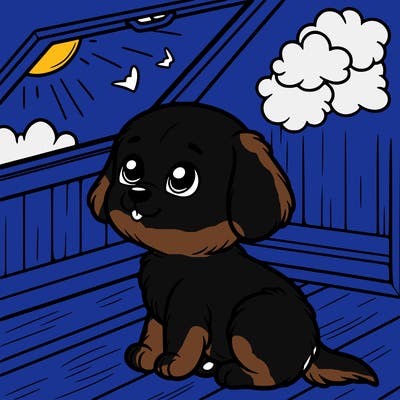 puppy in the skylight