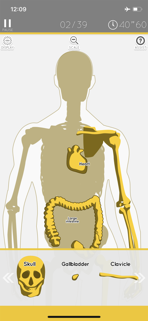 Mobile app interface of an anatomy puzzle game showing a human body outline with skeletal and organ pieces to be placed