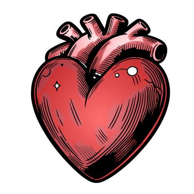 realistic heart