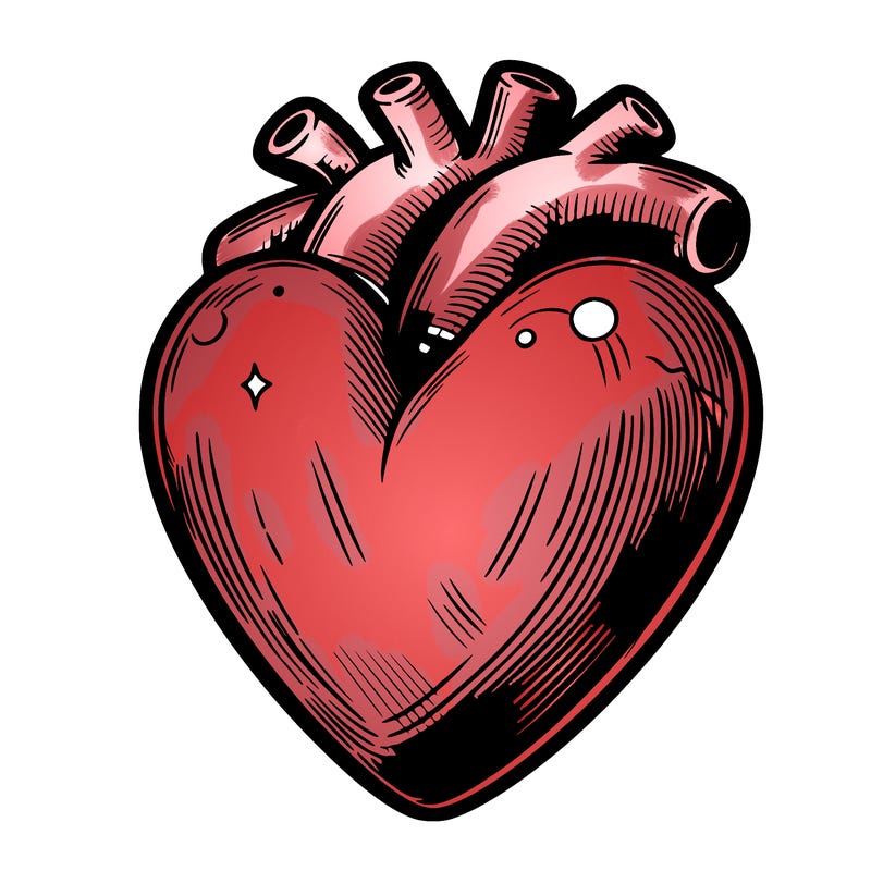 realistic heart
