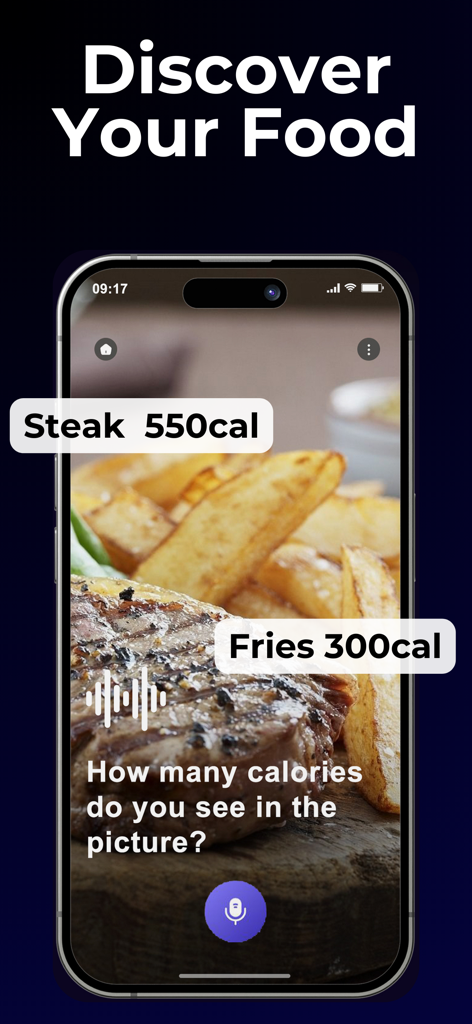 Lens App KI Kalorienscanner, der Kalorien in einem Steak- und Pommes-Gericht identifiziert