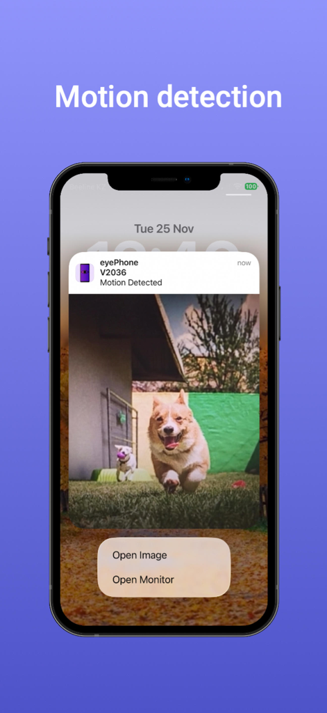 Homesafe: Home Security Camera - iPhone lock screen showing a motion detection notification from the Homesafe app with a picture of a dog.