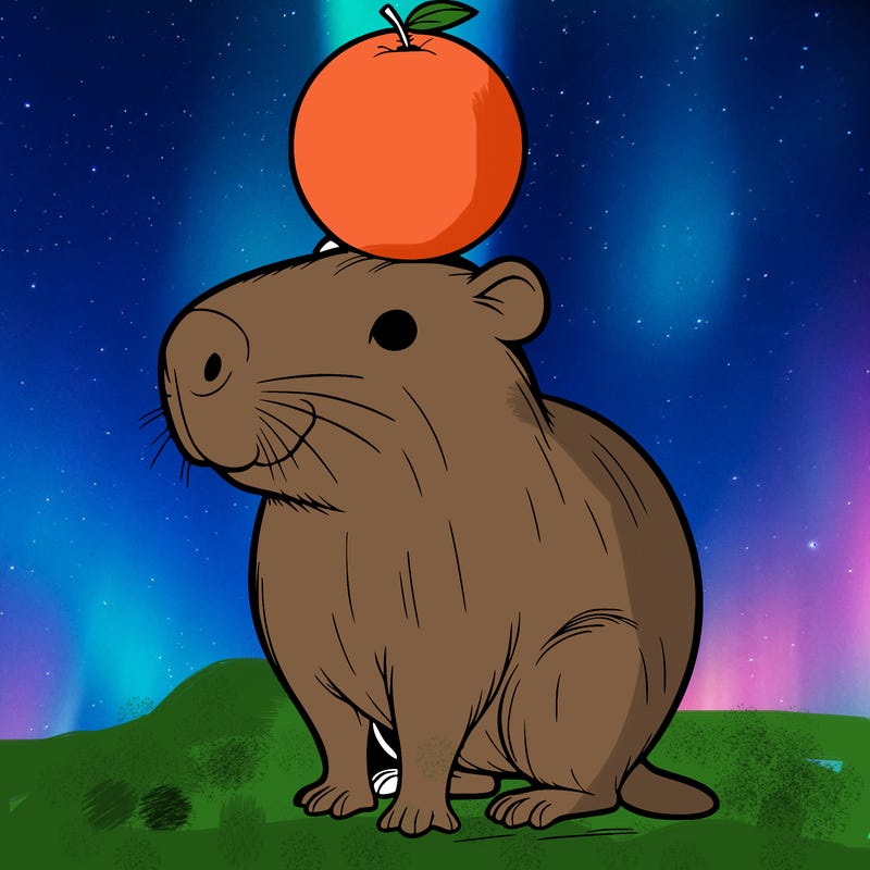 capybara that is balancing a orange on its head