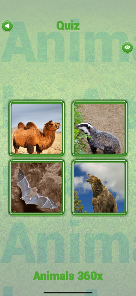 Animals 360x - Animals 360x app quiz screen showing photos of a camel, badger, bat, and bear for children to identify
