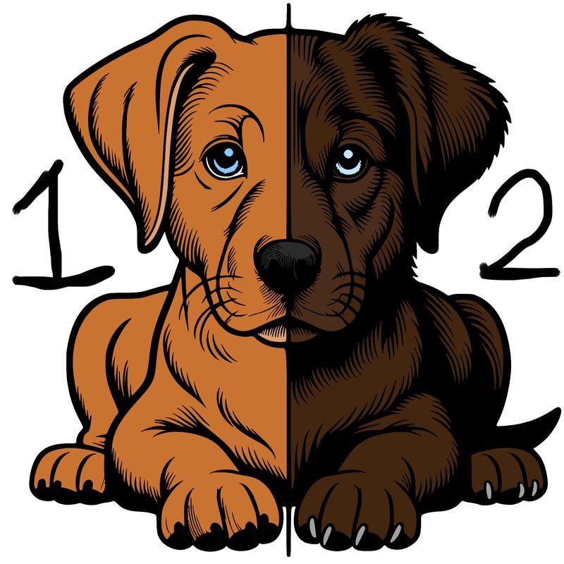 realistic dog split picture