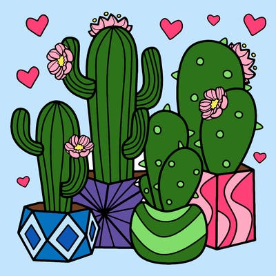 flowers_24_new