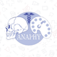 Anaphy