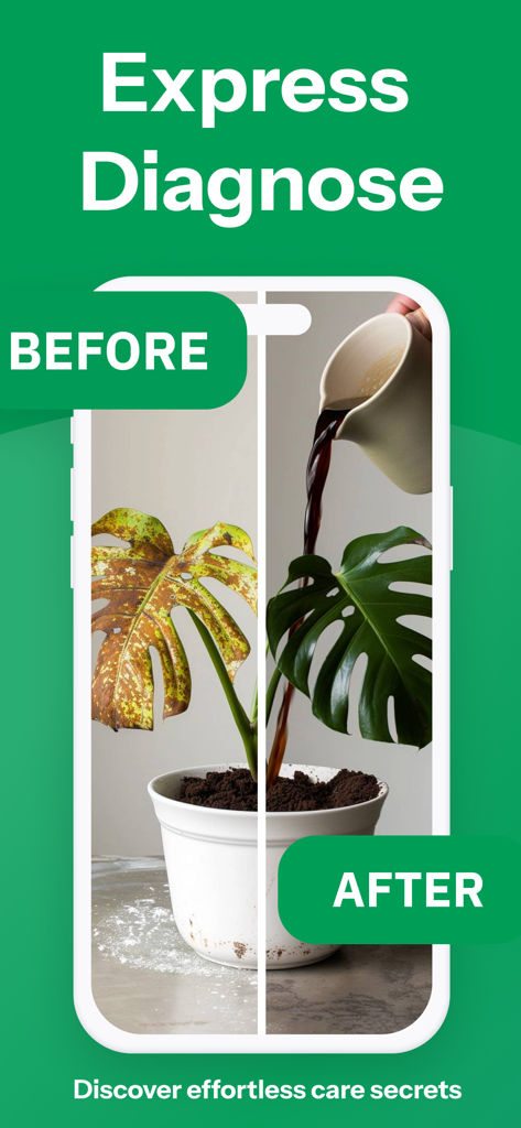 Vorher-Nachher-Vergleich einer vergilbten, kranken Pflanze und einer gesunden, grünen Monstera, die die Diagnosefunktion von Plantory verwendet